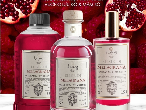 Logevy Fragrance Collection