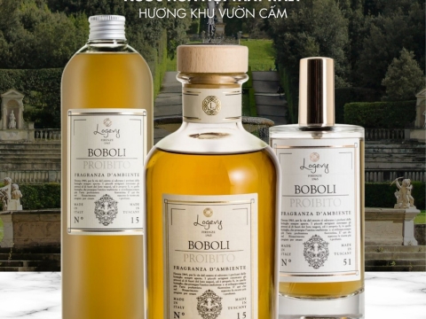 Logevy Fragrance Collection