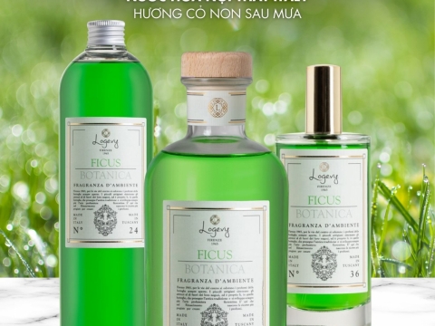 Logevy Fragrance Collection