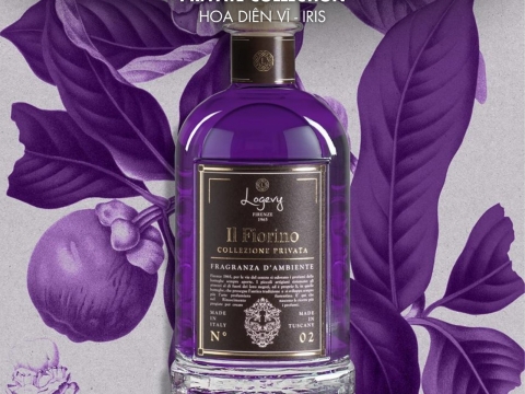 Logevy Fragrance Collection