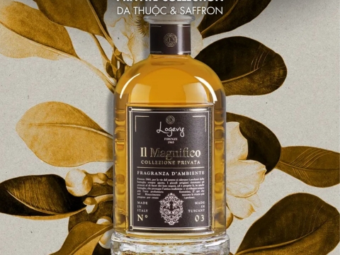 Logevy Fragrance Collection