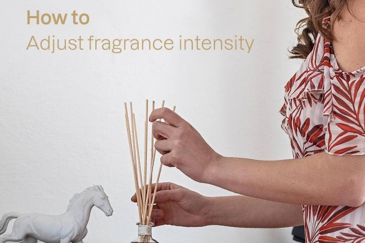 Bạn đã biết cách sử dụng nước hoa nội thất toả hương LOGEVY Firenze 1965?
